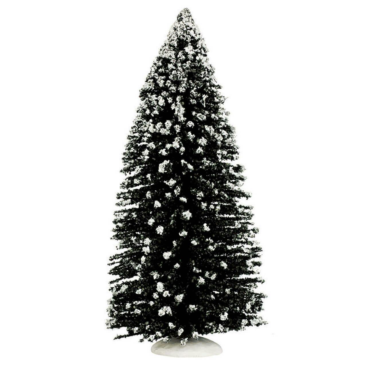 Evergreen Tree, Jumbo