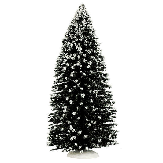 Evergreen Tree, Jumbo
