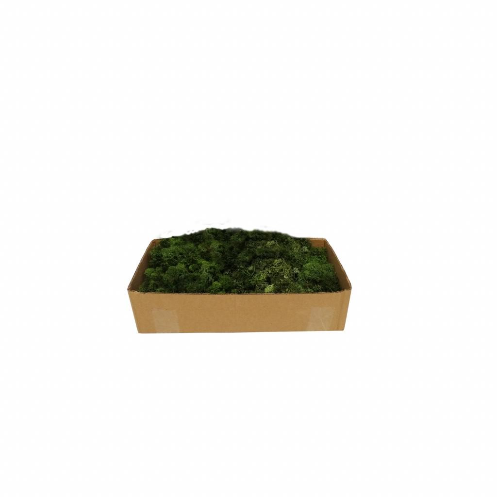 Reindeer moss - mørk grønn 500G